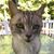 Ian Mouer's profile image