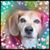 Nita Keesler's profile image