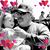 Rick Muzny's profile image