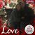 Sherry Lynn's profile image