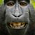 Kathy Hufferd Brakel's profile image