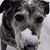 Katie Thorington's profile image