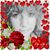 Lainie Sevante Wulkan's profile image