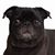 Mike Wacht's profile image