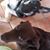 Kim Van Etten's profile image