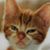 Kat Globus's profile image