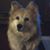 Sally Ann's profile image