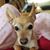 Kathy Nelson's profile image