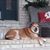 Peggy Buck Schumaker's profile image