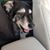 Steve Ibbotson's profile image