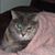 Donna Rivers Mathews's profile image
