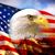 Ted Havens's profile image