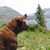 Amy Olson's profile image