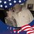 Winn McCarty's profile image