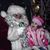 Julie MacIver Venhuizen's profile image