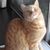 Rikki Eaton's profile image