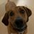 Lesley Finocchio's profile image
