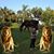 Sandeep Sheth's profile image