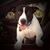 Myra Earth-Gypsy Keller's profile image