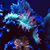 Amy Novak Ceranek's profile image