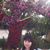 Seohyun Park's profile image