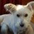 Trudy M Ray's profile image