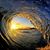Lisa Freeland Howell's profile image