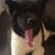 Steve Sakiyama's profile image