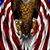 Scott Jones's profile image