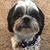 Tina Gurzi-Richardson's profile image