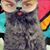 Sar Ah's profile image