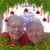 Cindy Coleman's profile image