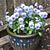 Cheryl Zimmerman-Trenholm's profile image