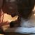 Sandi Arcipowski Bruegger's profile image