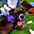 Sheena Shackelford's profile image