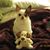 Ducky Richards's profile image