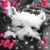Brandy Edlund's profile image