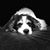 Terry A Graham's profile image