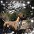 Denise Guidry Bork's profile image