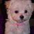 Cyndee Maynard's profile image