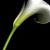 Pamela Carney's profile image