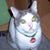 Jen Peckham's profile image