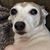 Becky Blenkush's profile image