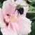 Janet Walker's profile image