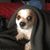 Maria Esposito-Armetta's profile image
