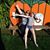 Annie Colley's profile image