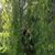 Anke Ihnken's profile image