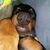 Christine Oliphant's profile image