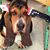 Sala Ponnech's profile image
