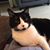 Darla Julin's profile image